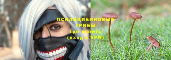 круглые Няндома