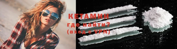 прущие грибы Осинники