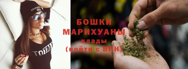 прущие грибы Осинники