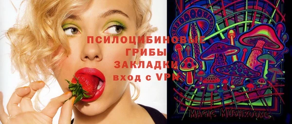 прущие грибы Осинники