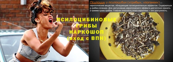 не бодяженный Осташков