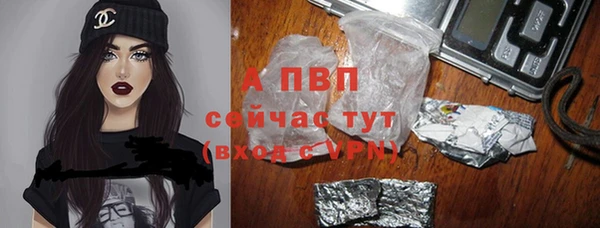 прущие грибы Осинники