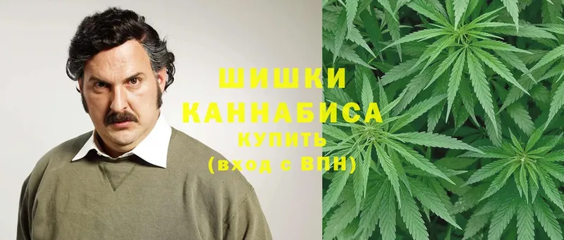 Марихуана OG Kush  купить наркотик  mega ссылка  Уяр 